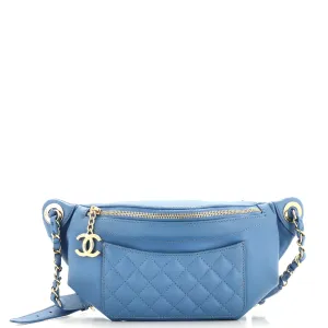 CHANEL Bi Classic Waist Bag Quilted Lambskin