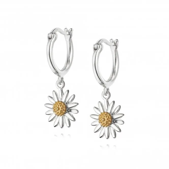 English Daisy Drop 10mm Earrings E2007