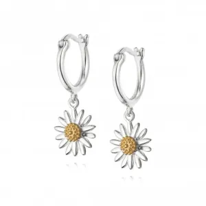 English Daisy Drop 10mm Earrings E2007