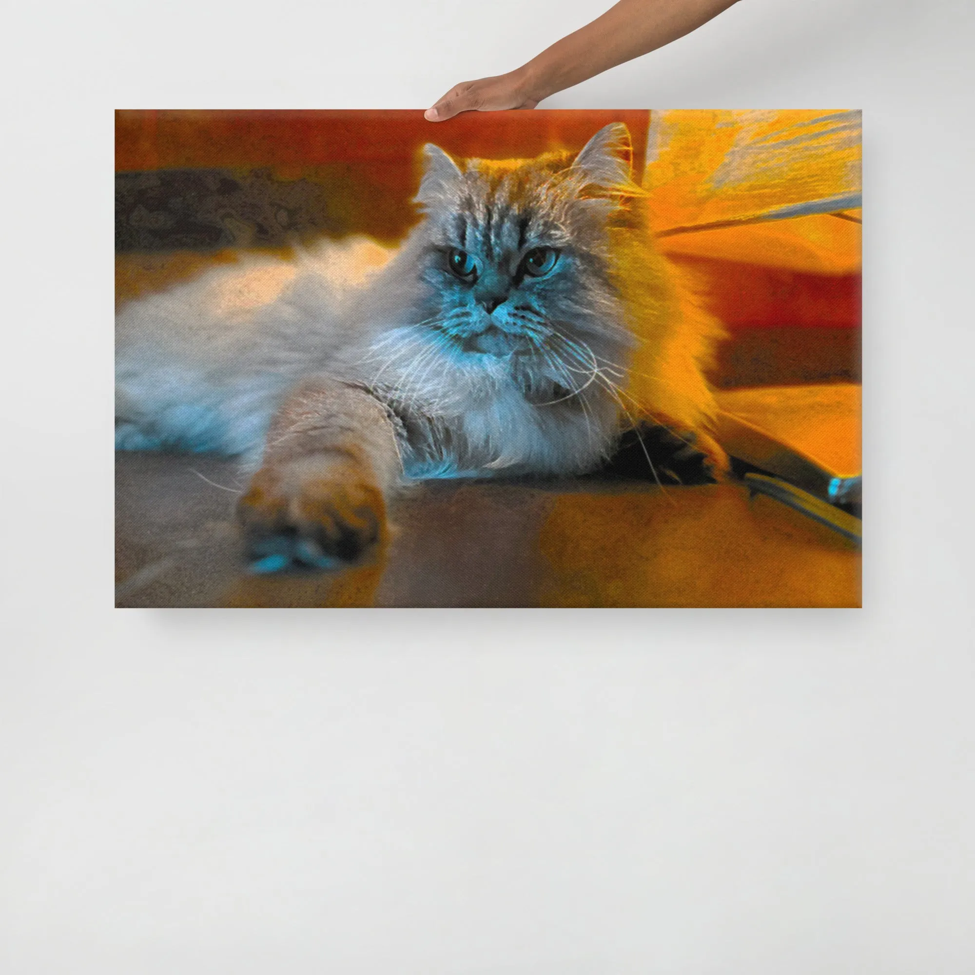 Fluffy Cat Photographic Ready-to-Hang Premium Wrapped Wood Frame Art - Designed by Michigan Artists