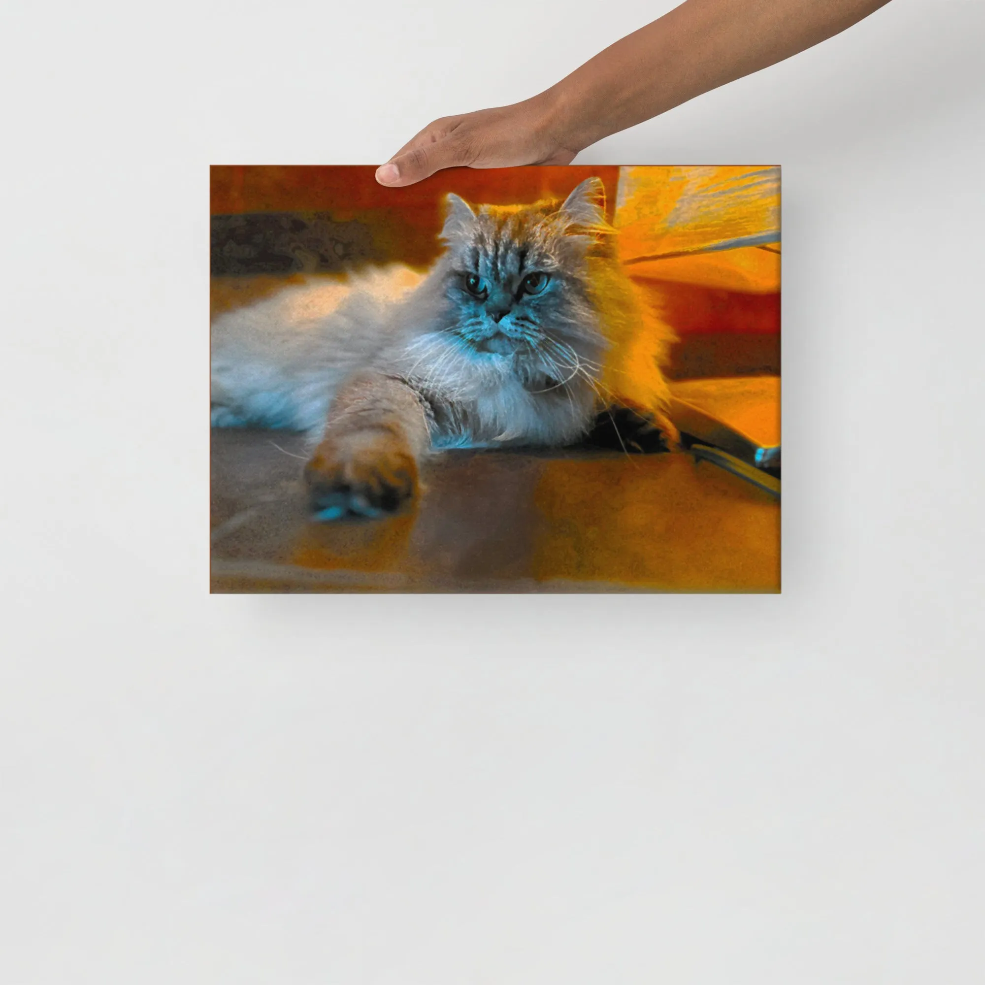 Fluffy Cat Photographic Ready-to-Hang Premium Wrapped Wood Frame Art - Designed by Michigan Artists