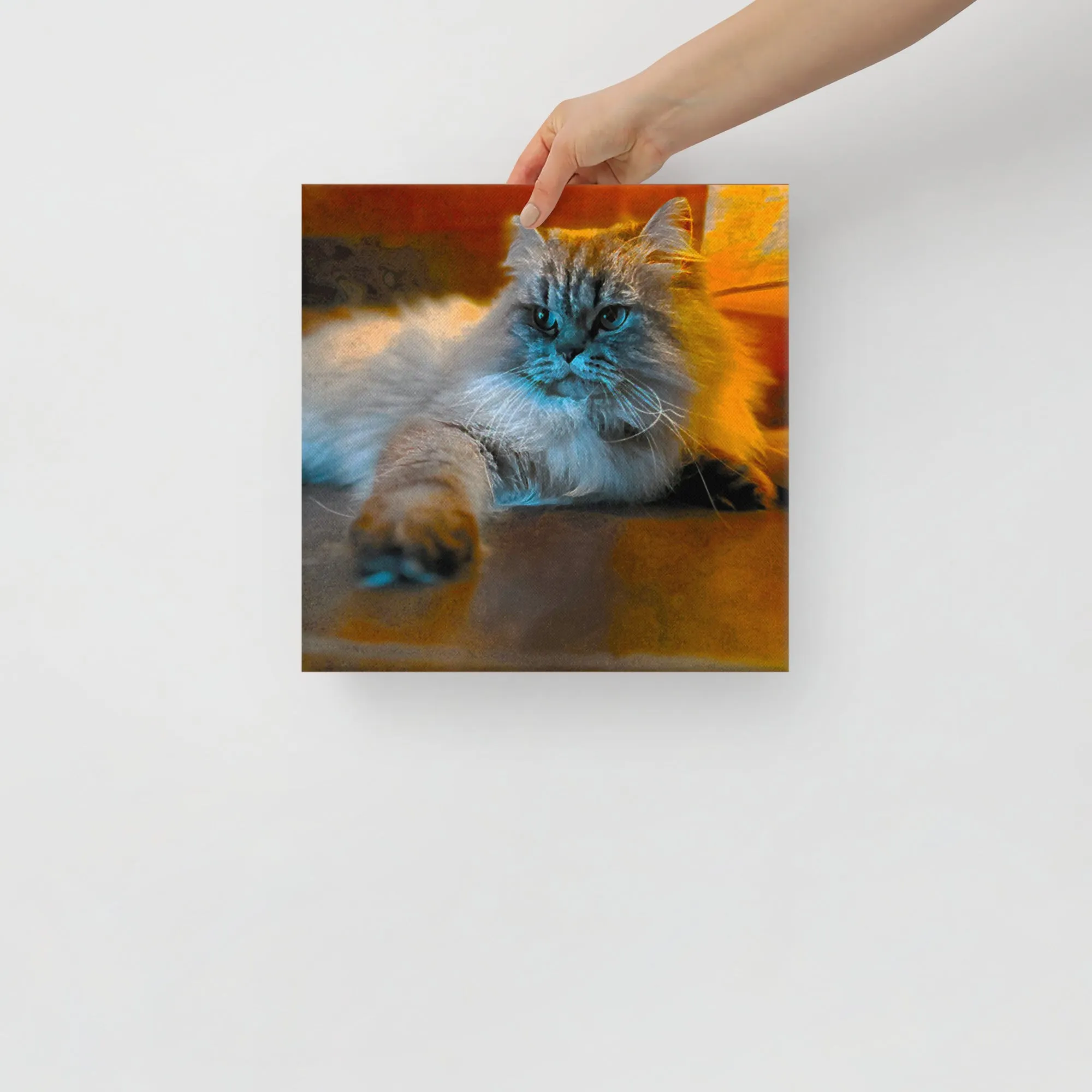 Fluffy Cat Photographic Ready-to-Hang Premium Wrapped Wood Frame Art - Designed by Michigan Artists