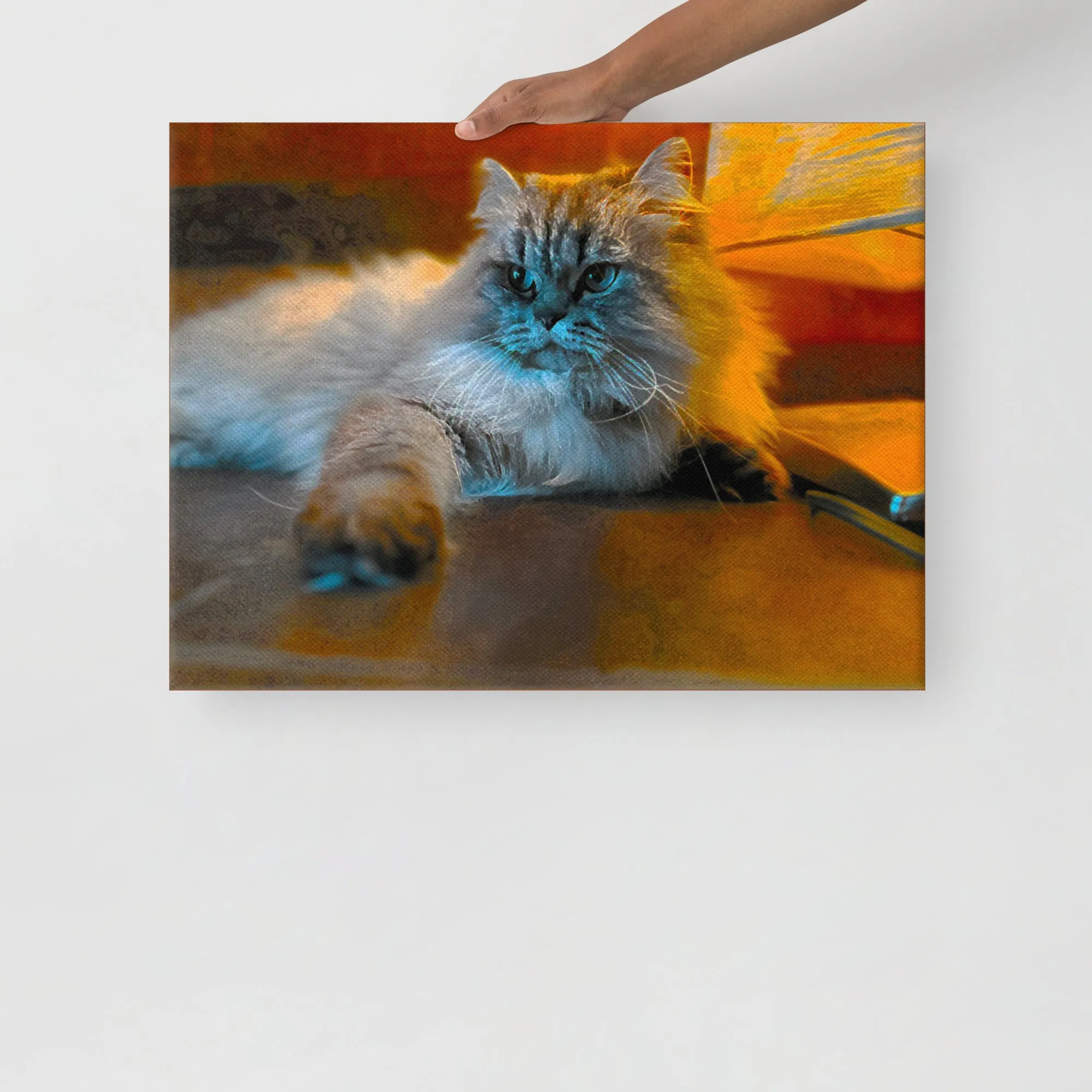 Fluffy Cat Photographic Ready-to-Hang Premium Wrapped Wood Frame Art - Designed by Michigan Artists