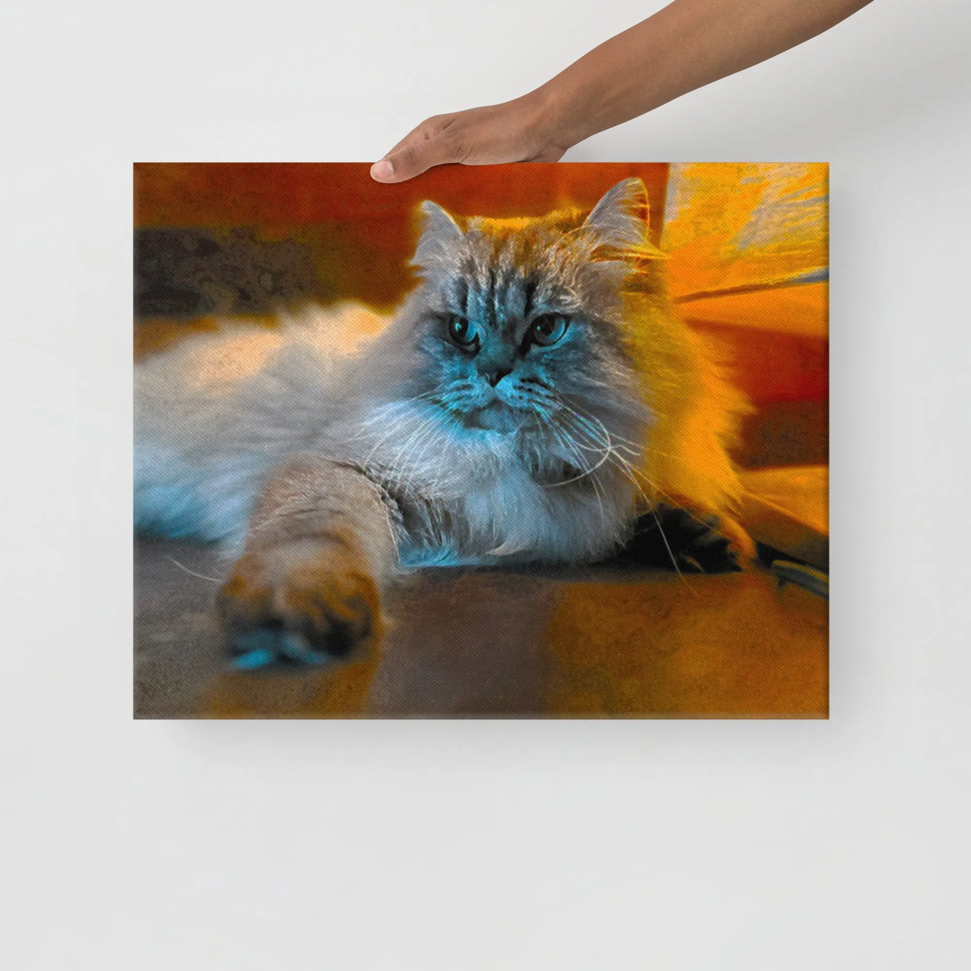 Fluffy Cat Photographic Ready-to-Hang Premium Wrapped Wood Frame Art - Designed by Michigan Artists