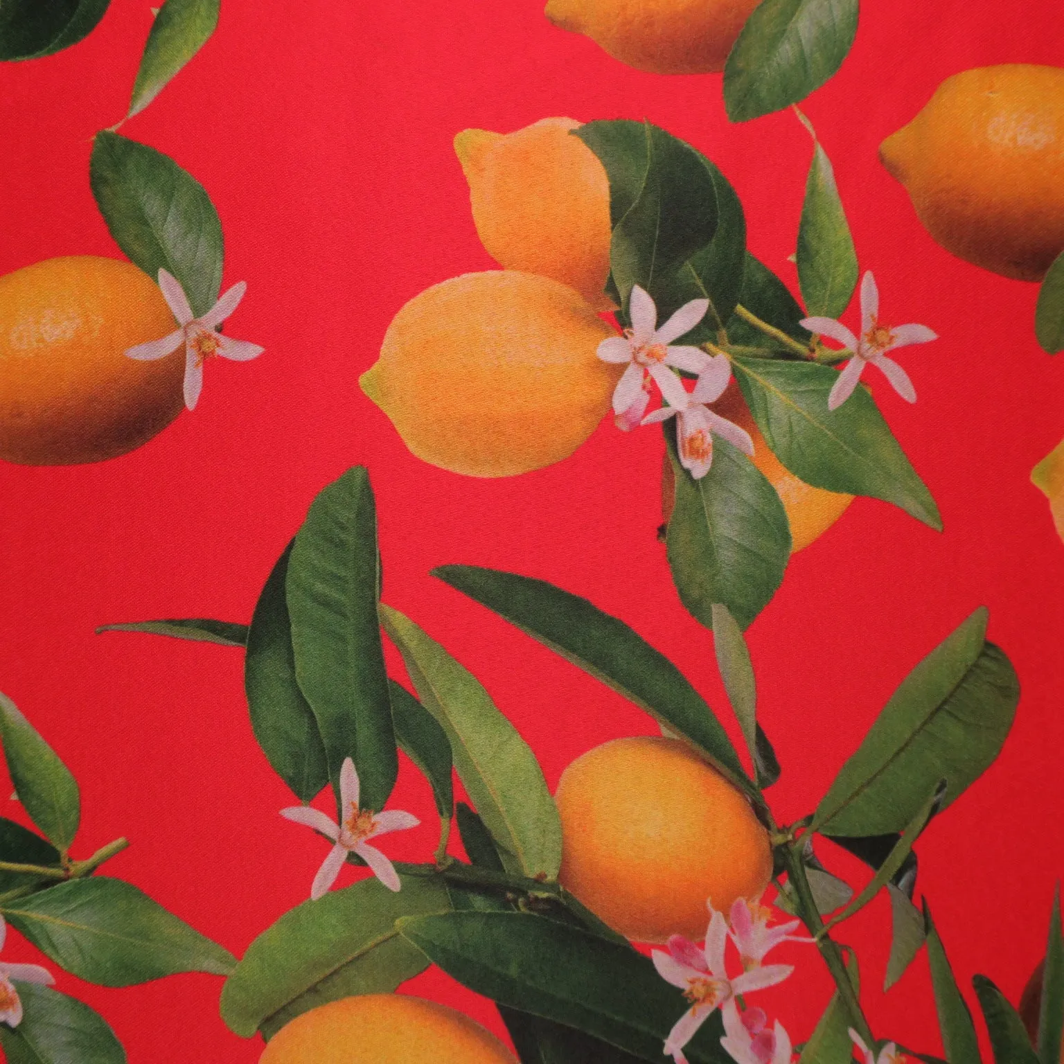 Lemons on Red Printed Polyester Mikado Fabric