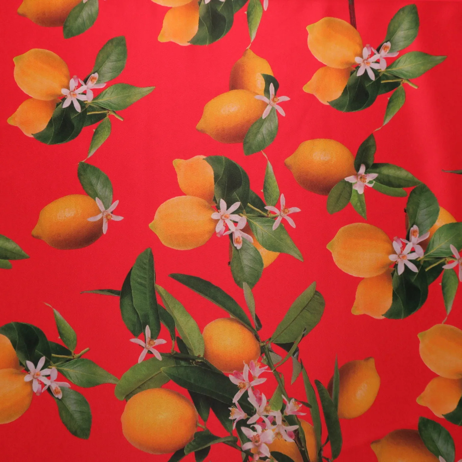 Lemons on Red Printed Polyester Mikado Fabric