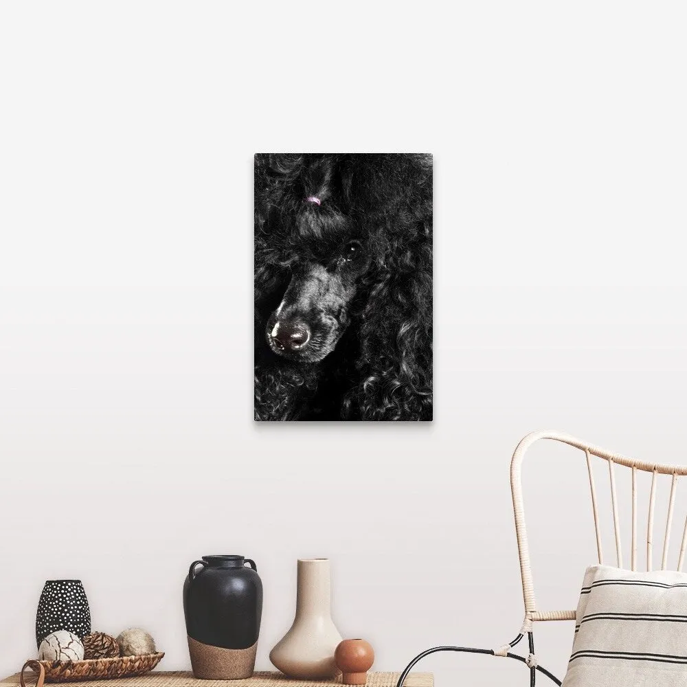 "Black Poodle" Canvas Wall Art