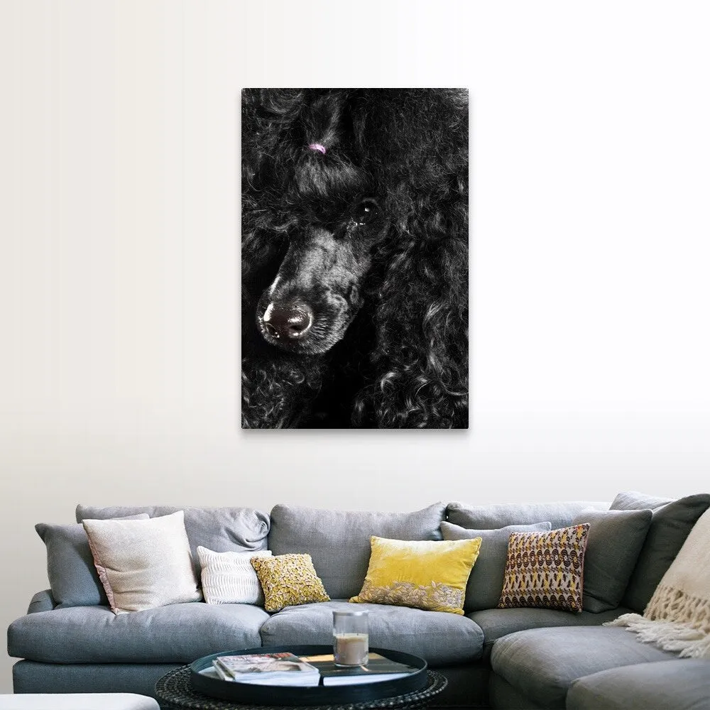 "Black Poodle" Canvas Wall Art