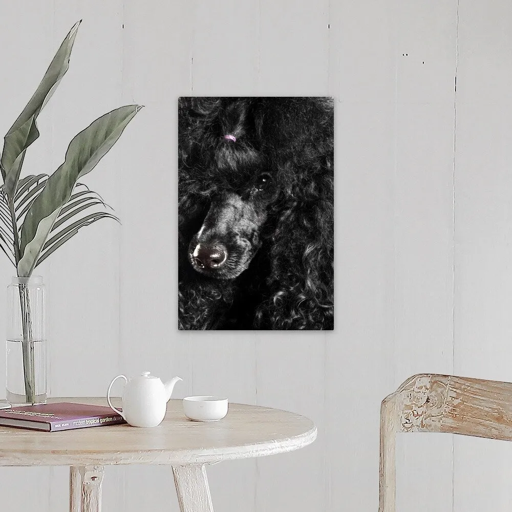 "Black Poodle" Canvas Wall Art