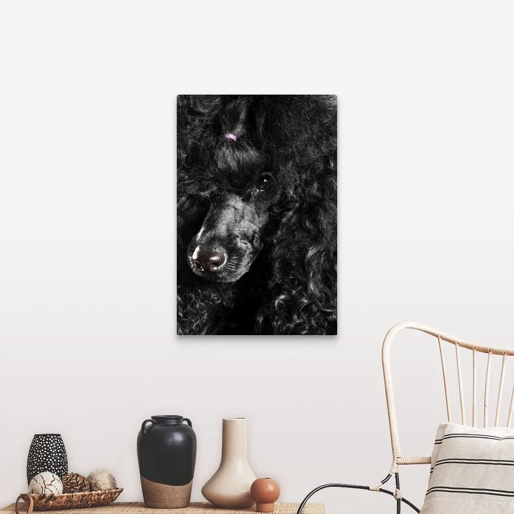 "Black Poodle" Canvas Wall Art