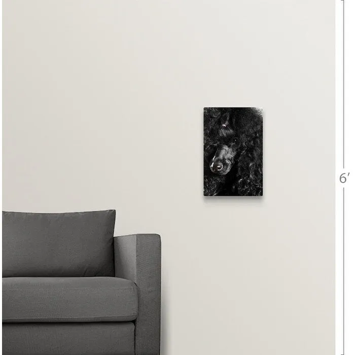 "Black Poodle" Canvas Wall Art