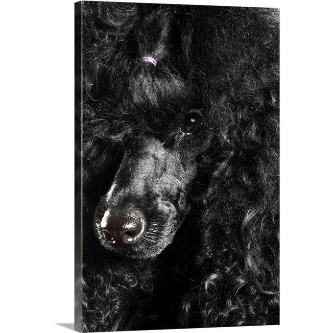 "Black Poodle" Canvas Wall Art