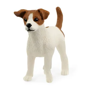 SC13916 JACK RUSSELL TERRIER