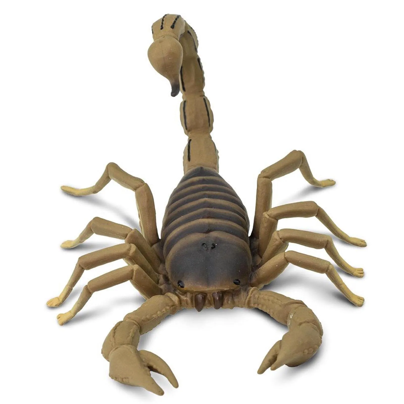 Scorpion Animal Figure Safari Ltd 100260